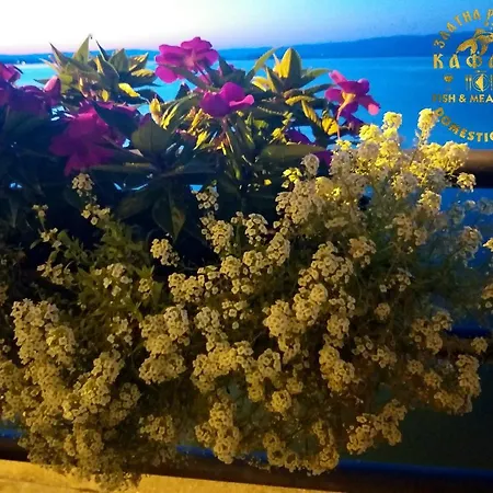 Zlatna Ribica Appartement