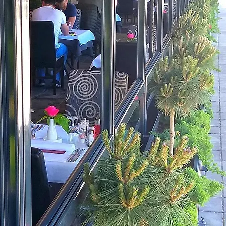 Kafana Zlatna Ribica Appartement *