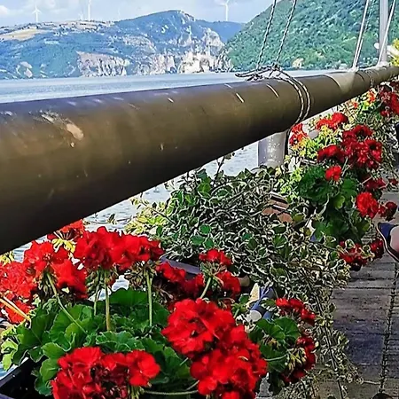 Kafana Zlatna Ribica