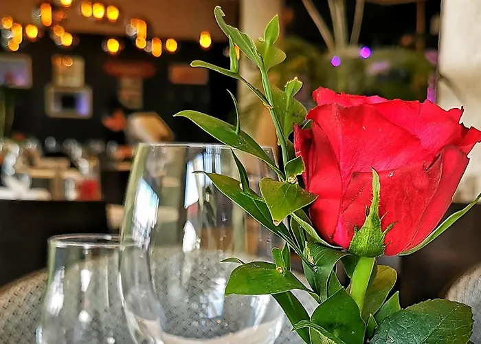 Kafana Zlatna Ribica Lejlighed *